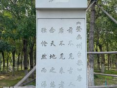 -大兴滨河森林公园