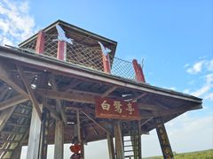 -北海金海湾红树林生态旅游区