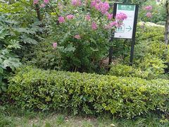 -阿哈湖国家湿地公园