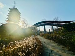 -中国观音故里广德景区