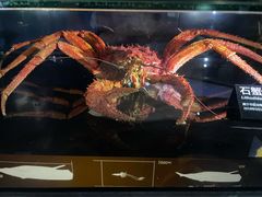 -同济大学四平路校区深海探索馆