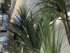 -兰湘子·湘菜小炒(崂山丽达店)