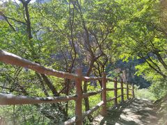 -黑龙潭风景区