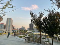 -上海游泳馆(地铁站)