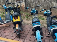 -华农酸奶文化馆