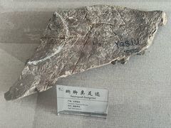 -延庆地质公园博物馆