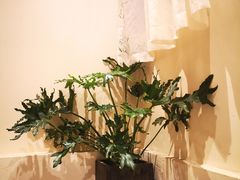 -左悦·艾灸调理·推拿按摩·精油SPA(卓悦汇店)