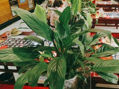 -一块豆腐(李沧书院路店)