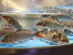 -阿庄新豫菜(航海东路店)