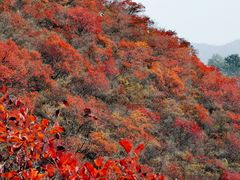 -水峪民俗村