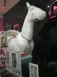 -DOS HOP潮上舞蹈