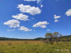 -塞罕坝国家级自然保护区