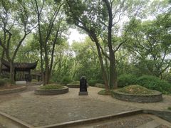 -上海佘山国家森林公园天马山园