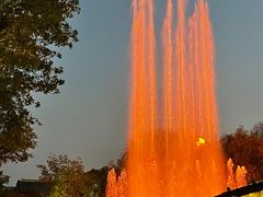 -疯克大象美式烤肉餐厅