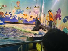 -太平洋海底世界