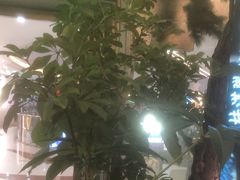 -桂满陇·蟹黄小笼汤包(中山公园店)