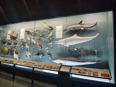 -浙江自然博物院(杭州馆)