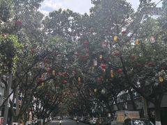-攀枝花公园