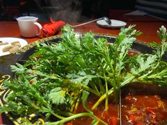 -黄家码头老火锅(解放碑旗舰店)