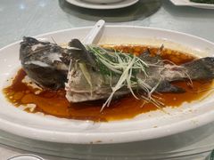 -大东海海鲜酒楼(渔人码头总店)