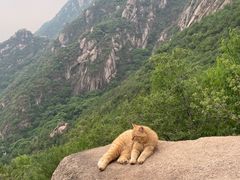 -北京凤凰岭