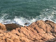 -广东惠东海龟国家级自然保护区