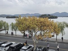 -楼外楼(西湖景区孤山路店)