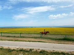 -青海湖国家重点风景名胜区