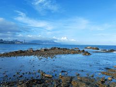 -小麦岛公园