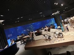 -海棠湾洲际-涛·海底餐厅·美人鱼·自助餐·海底隧道