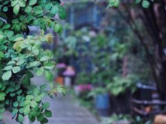 -谷咖啡·鲜花绿植花园餐厅