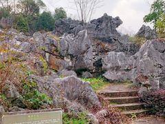 -千岛湖石林