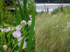 -东钱湖旅游度假区