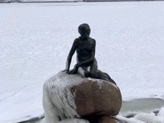 -美人鱼