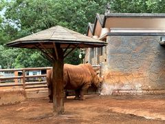 -昆明动物园
