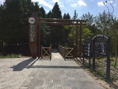 -溱湖国家湿地公园