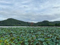 -顺峰山公园