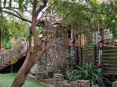 -北京呀路古热带植物园