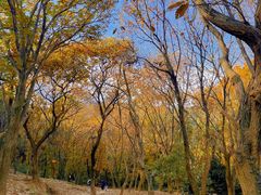 -虞山风景区