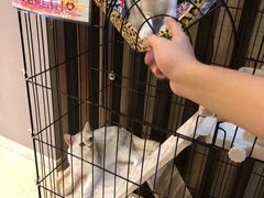 -津菜宋记老房子(鼓楼店)