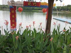 -顺峰山公园
