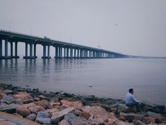 -宝安西湾红树林湿地公园