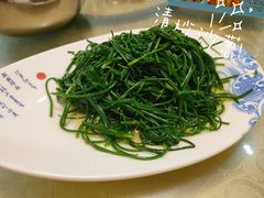 -靖远尕六美味羊羔肉