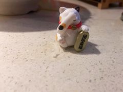 -猫爪爪原切自助烤肉(观音桥阳光世纪店)