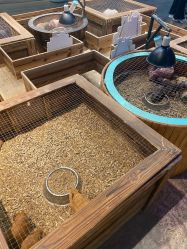 -酷嗒动物文化乐园(cutezoo西溪乐天城店)