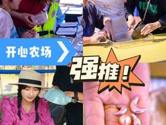 -苏州太湖西山岛开心农场