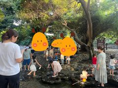 -成都市活水公园