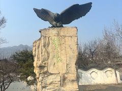 -北京鹫峰国家森林公园