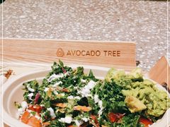 -油梨树AVOCADO TREE(嘉里中心店)