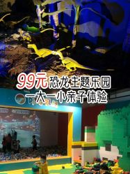 -恐龙探索乐园(磁器口店)